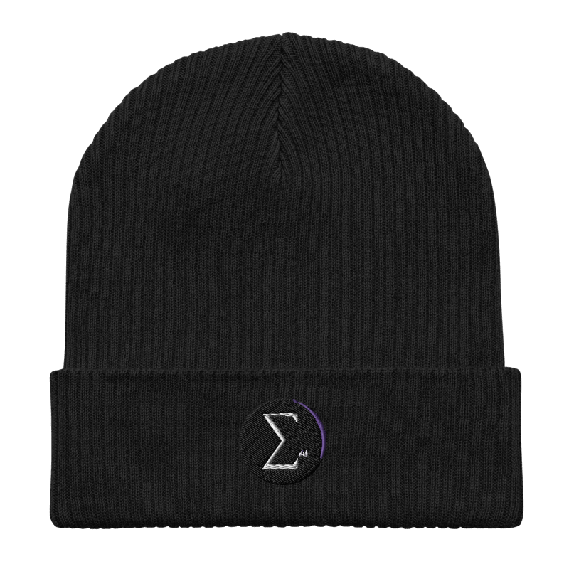 EVERYTHING AI™ ORGANIC BEANIE