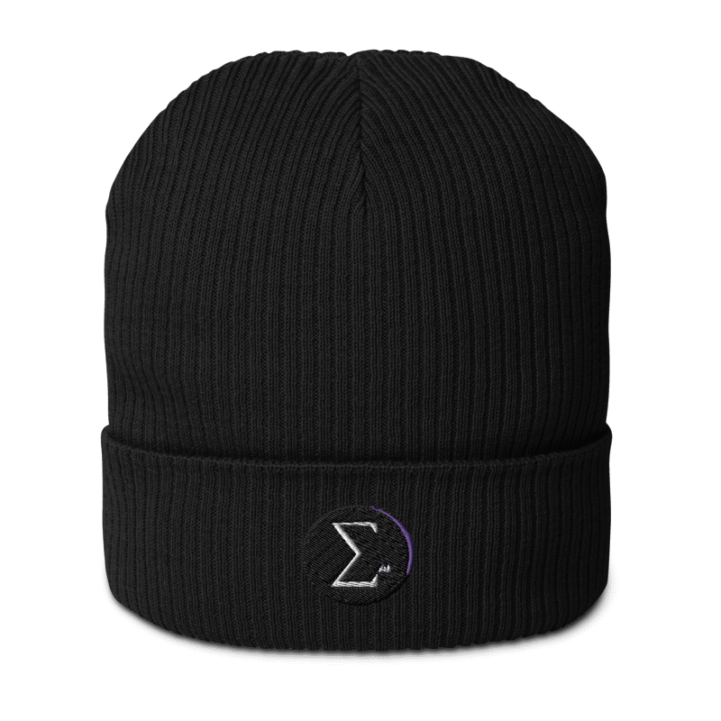 EVERYTHING AI™ ORGANIC BEANIE